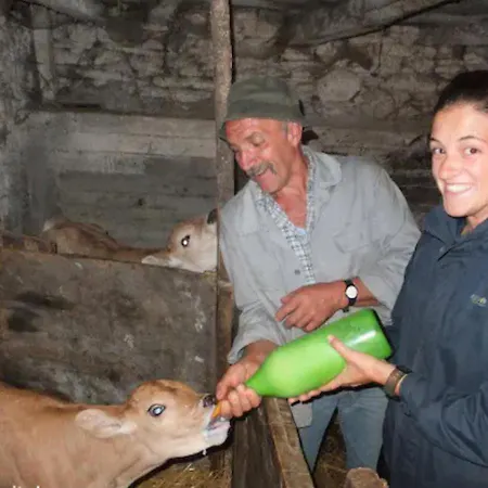 Medieval Hamlet Malpertus Bed & Breakfast