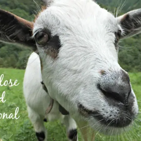 Medieval Hamlet Malpertus 3* Bobbio Pellice