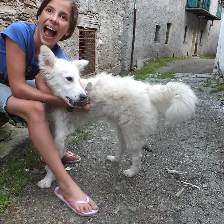 Medieval Hamlet Malpertus לינה וארוחת בוקר