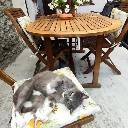 Medieval Hamlet Malpertus לינה וארוחת בוקר Bobbio Pellice