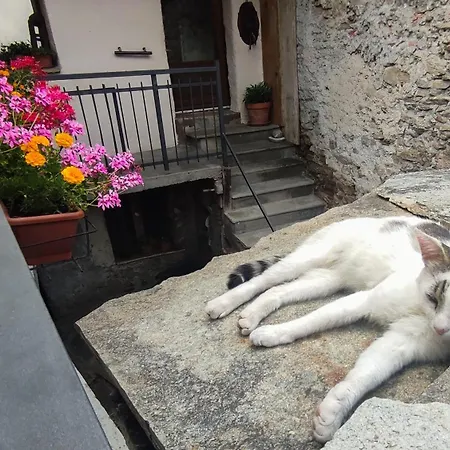 Medieval Hamlet Malpertus 3* Bobbio Pellice